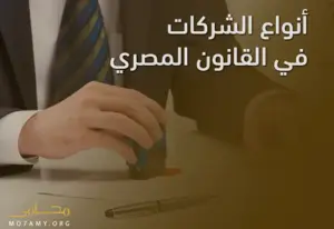 أنواع الشركات في القانون المصري