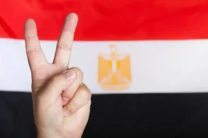 نزاهة الانتخابات في مجلس النواب