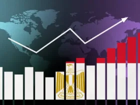 كيفية التوسع في التجارة الداخلية